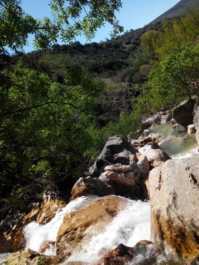 منزل الضيف روت  في Las Parras المظهر الخارجي الصورة